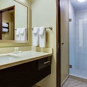 Studio Suite